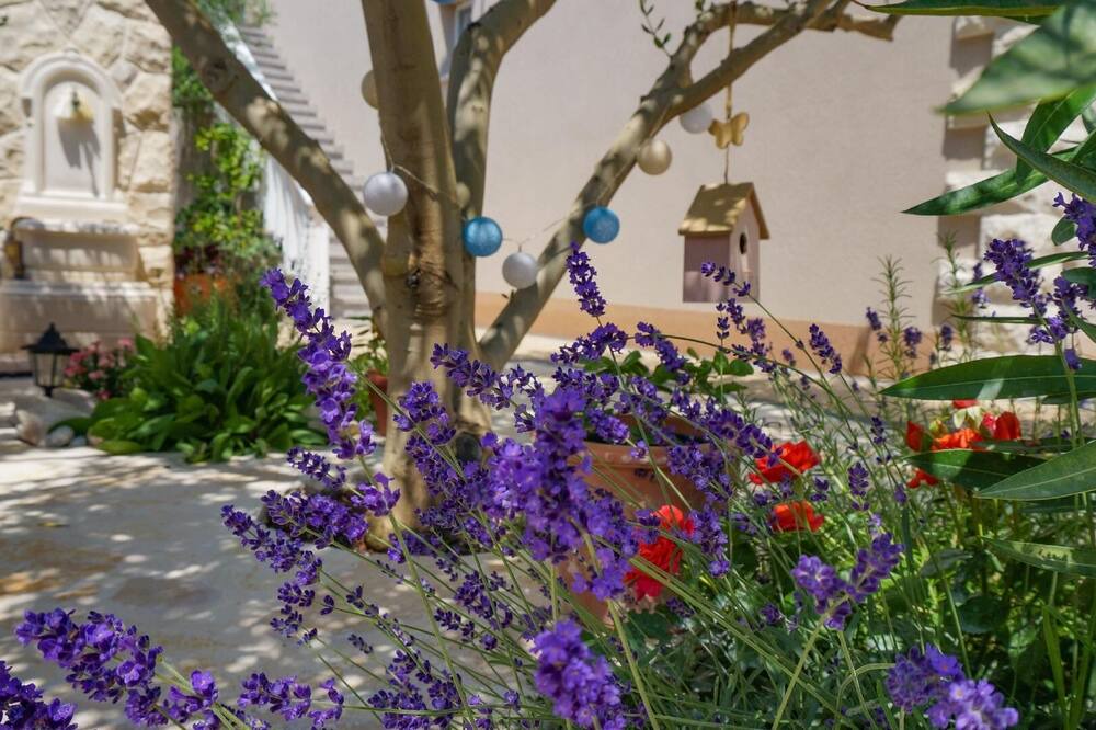 Photo of Outdoor in Vrsi