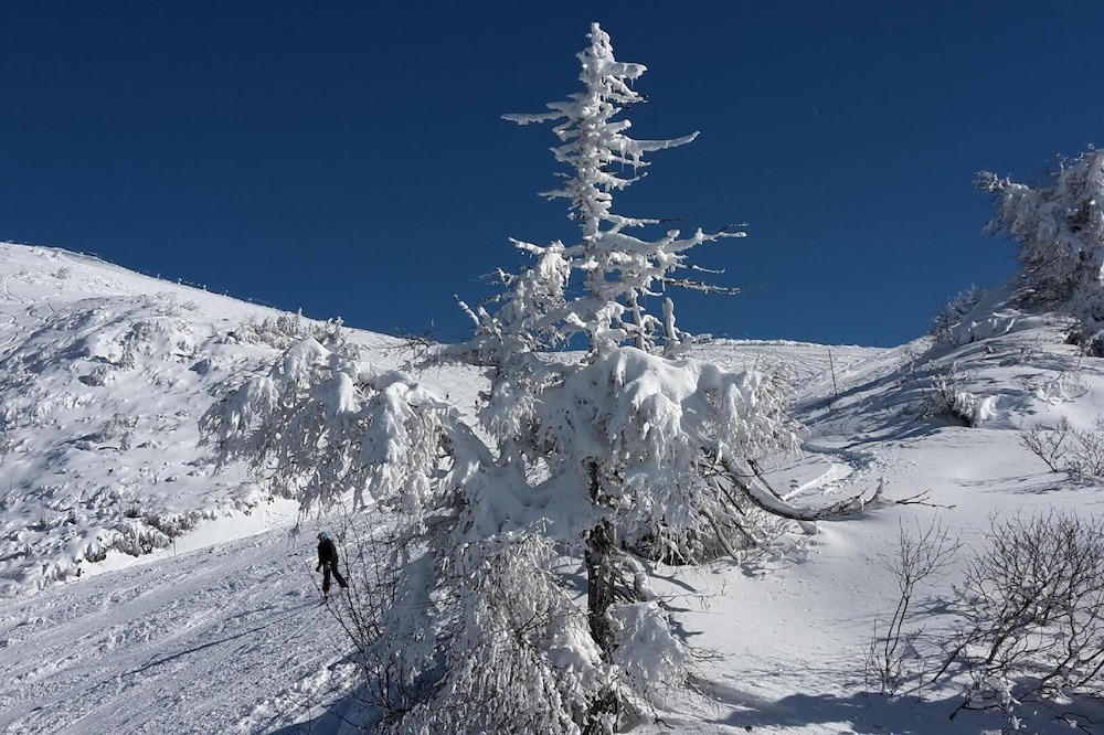 Photo of Outdoor in Kamnik