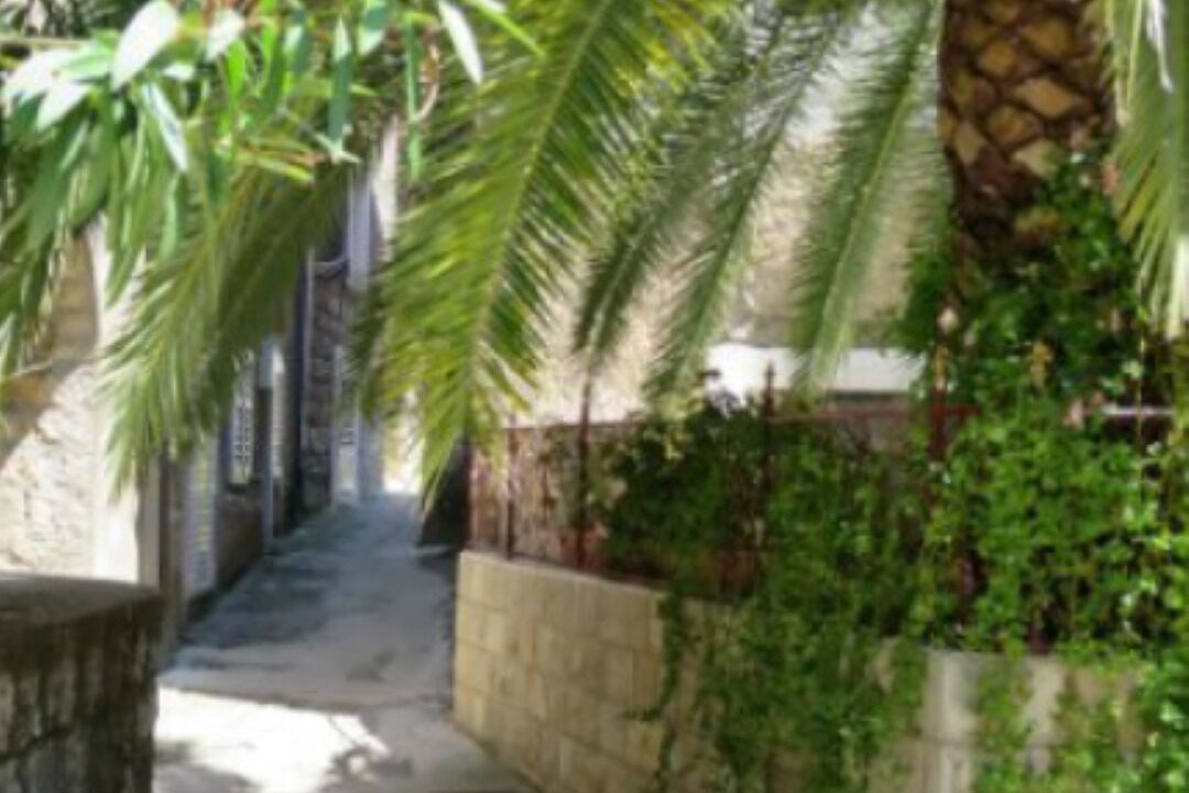 Photo of Outdoor in Trpanj