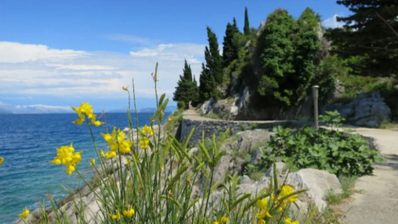 Photo of Outdoor in Trpanj