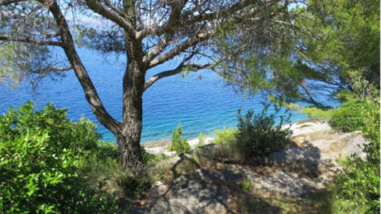Photo of Outdoor in Trpanj