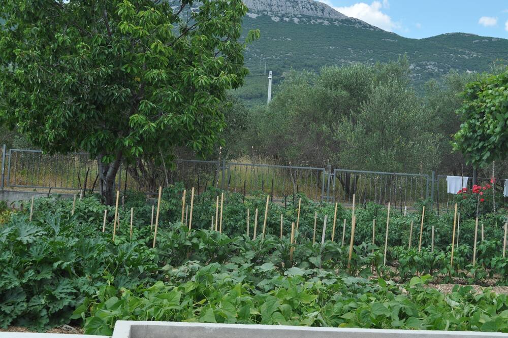 Photo of Outdoor in Kastel Stari