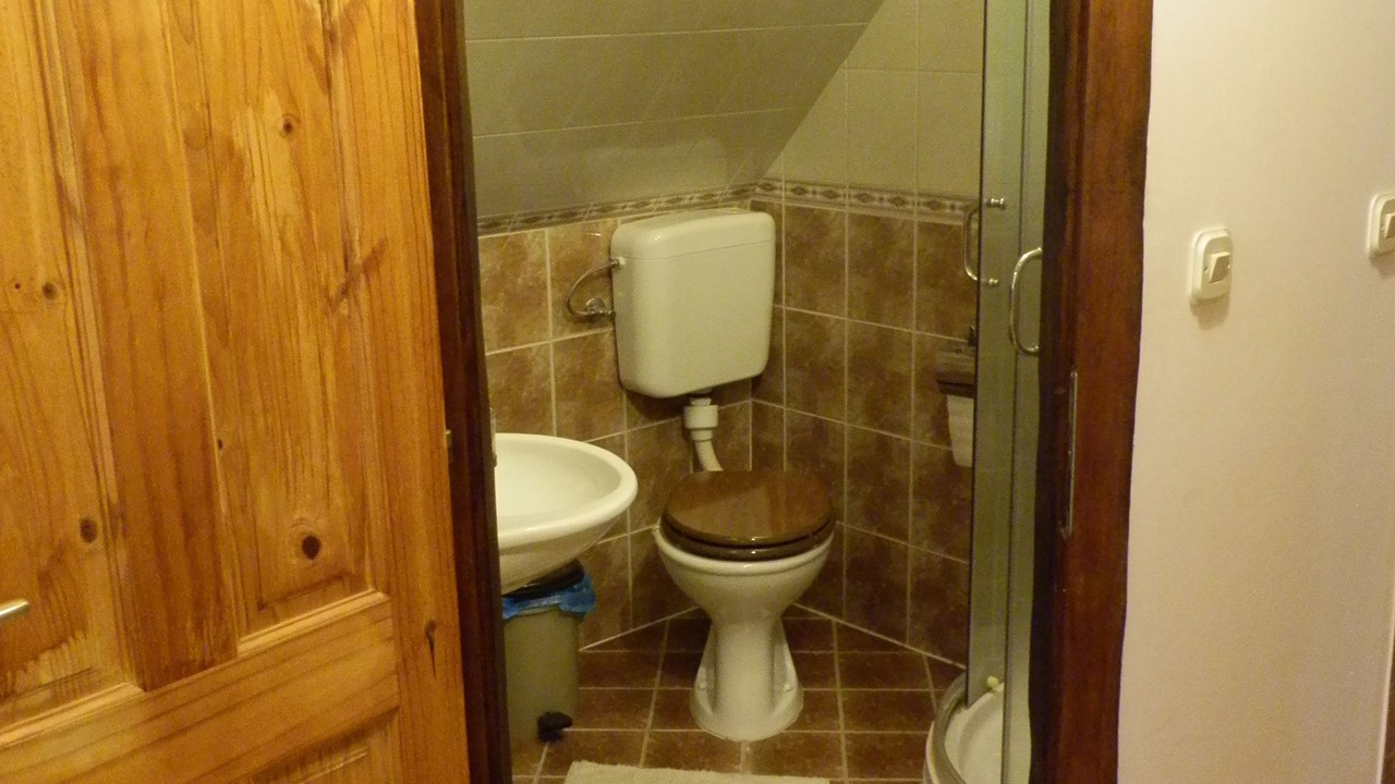 Photo of Bathroom in Sisak