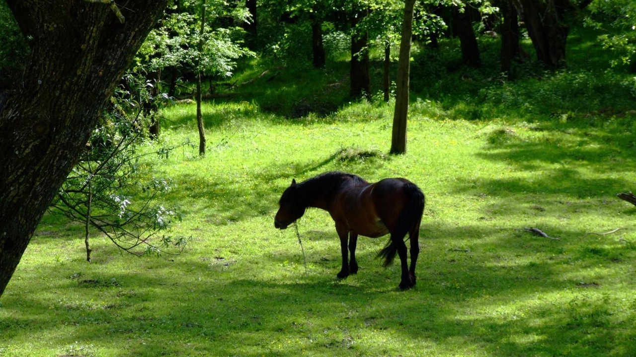 Photo of Outdoor in Sisak
