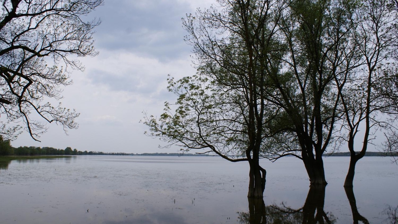 Photo of Others in Sisak