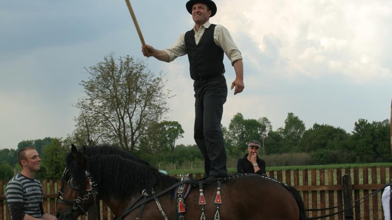 Photo of Others in Sisak
