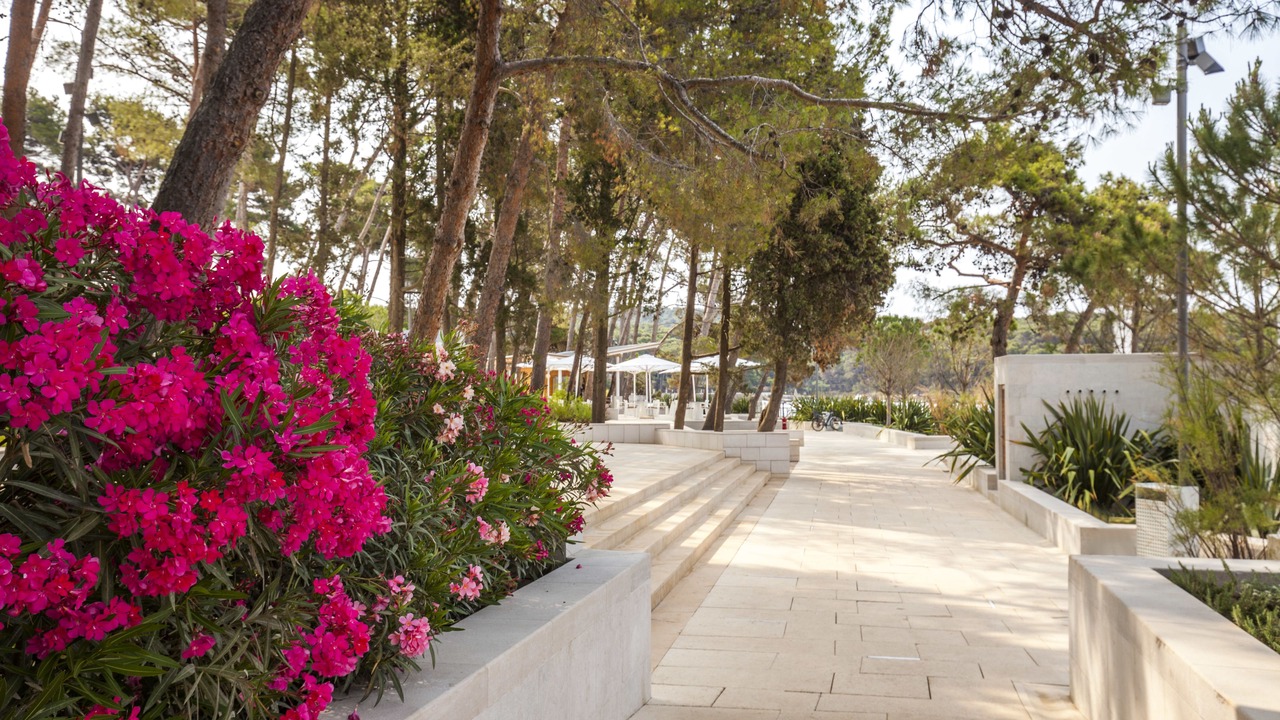 Photo of Patio Balcony in Cove Murtar