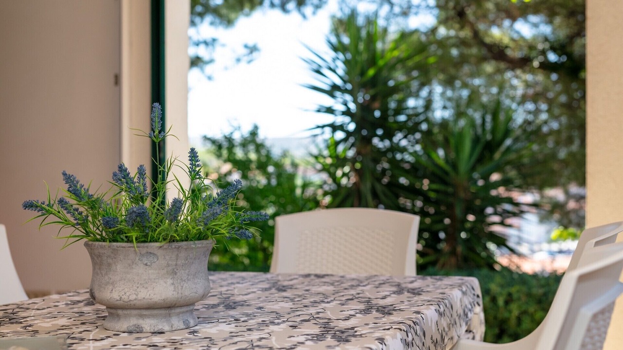 Photo of Outdoor in Milna (Brac)