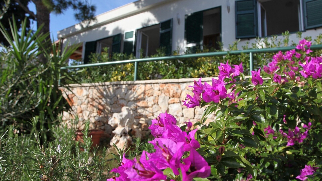 Photo of Outdoor in Milna (Brac)