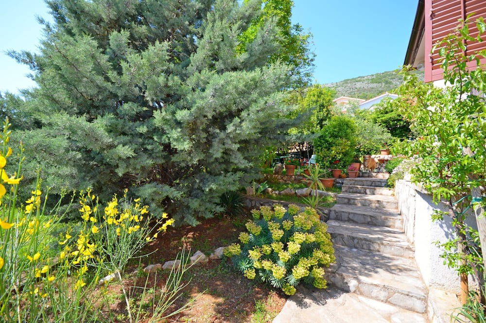Photo of Outdoor in Ravni