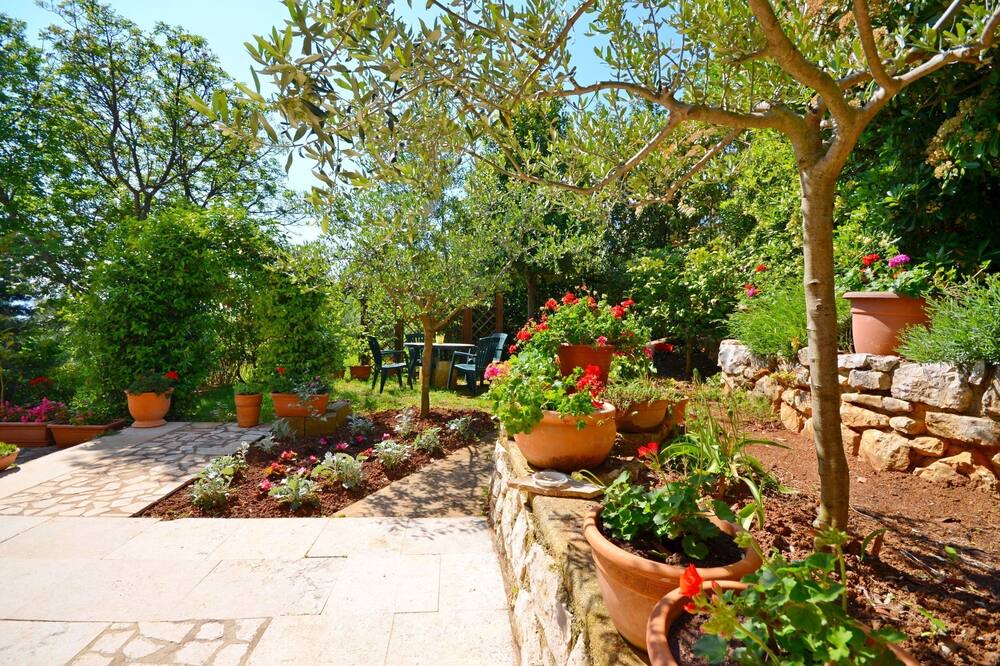 Photo of Outdoor in Ravni