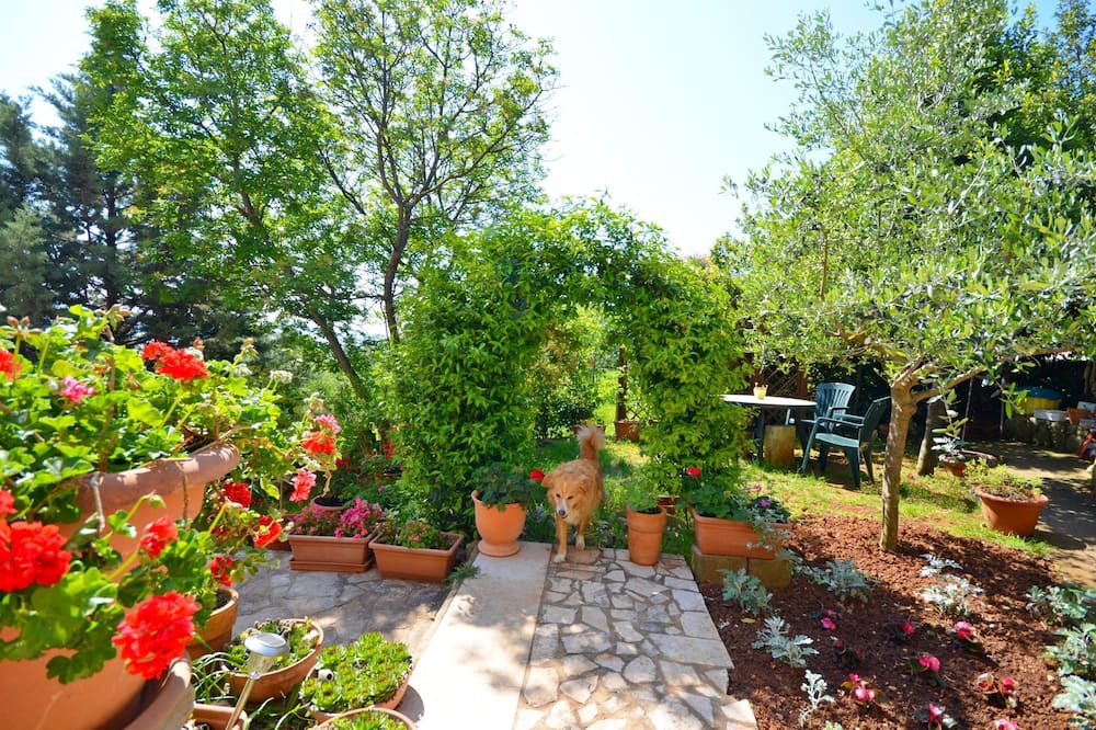 Photo of Outdoor in Ravni