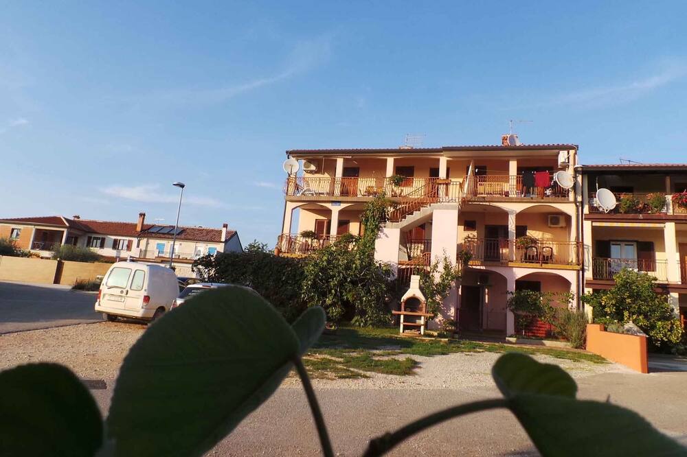Photo of Others in Monterol