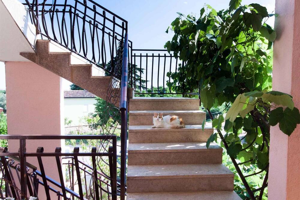 Photo of Others in Monterol