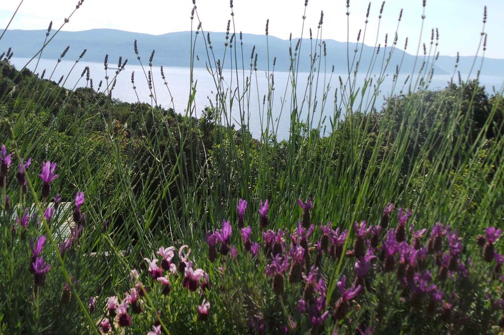 Photo of Others in Plomin