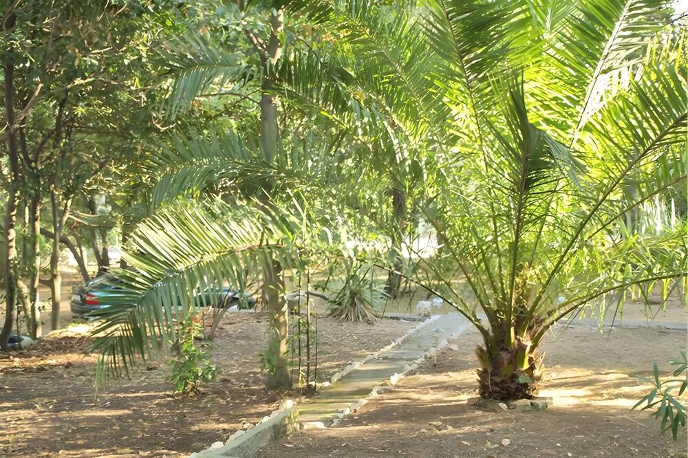 Photo of Outdoor in Cove Murtar