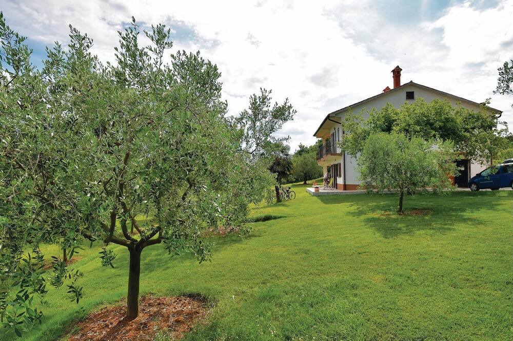 Photo of Outdoor in Vizinada
