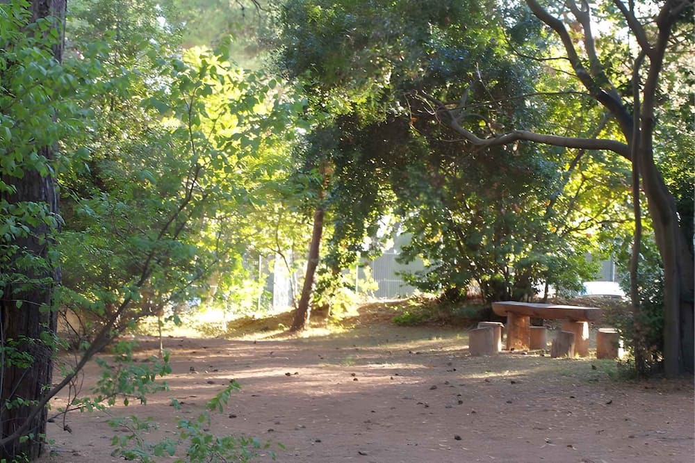 Photo of Outdoor in Cove Murtar