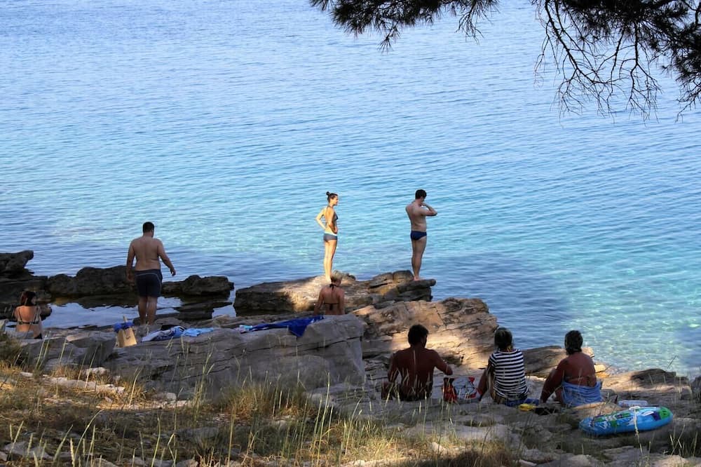 Photo of Others in Bozava