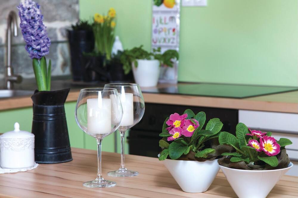 Photo of Kitchen in Mravince