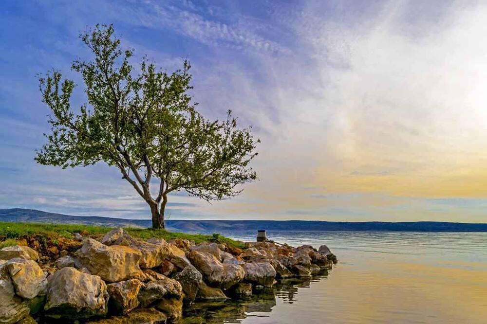 Photo of Others in Starigrad