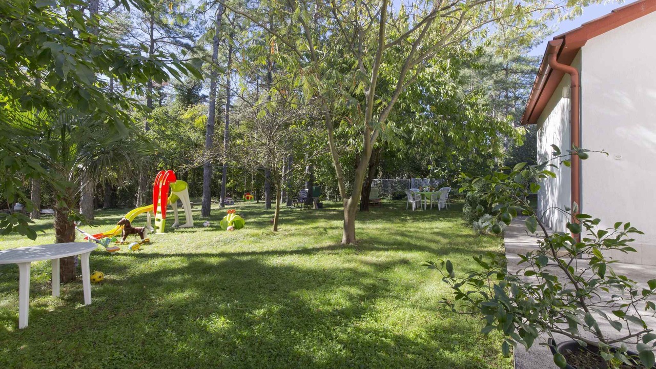 Photo of Others in Plomin