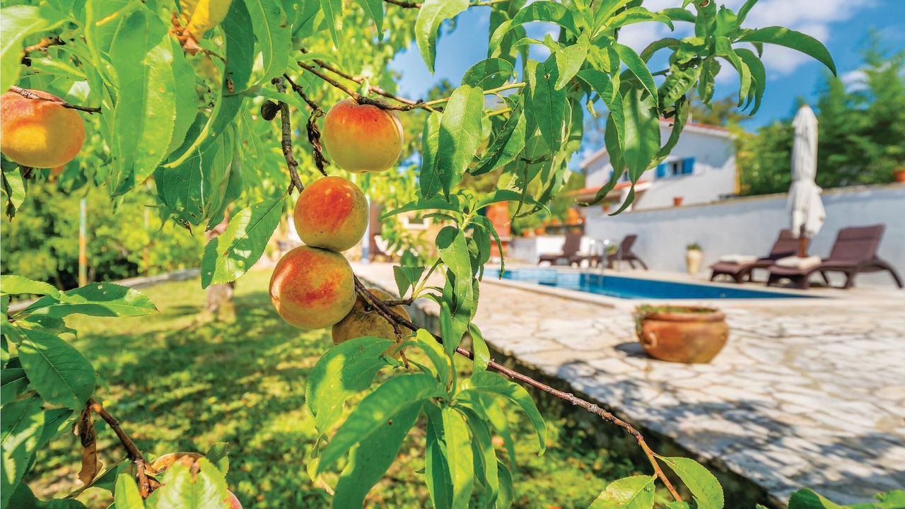 Photo of Outdoor in Snasici