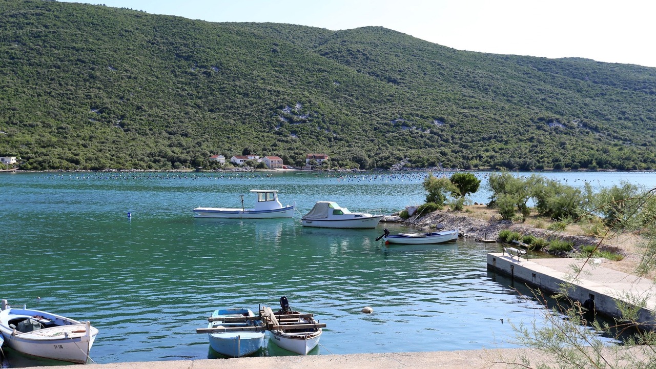 Photo of Others in Brijesta