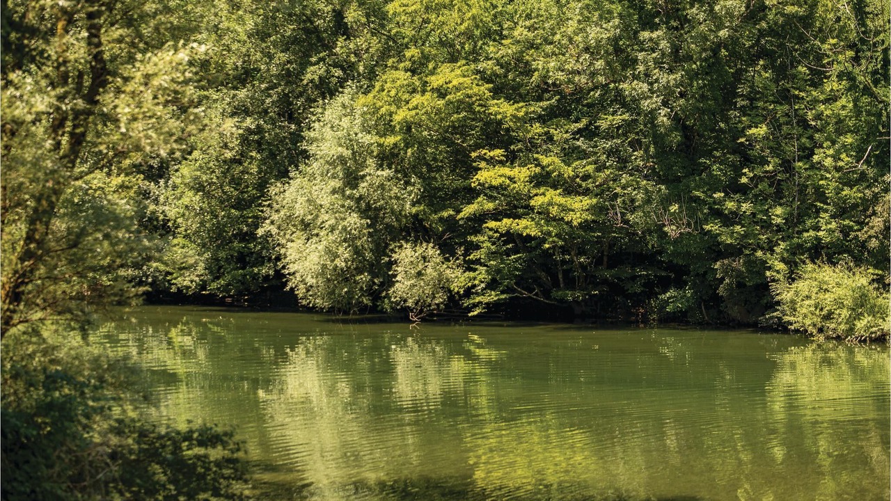 Photo of Outdoor in Delnice