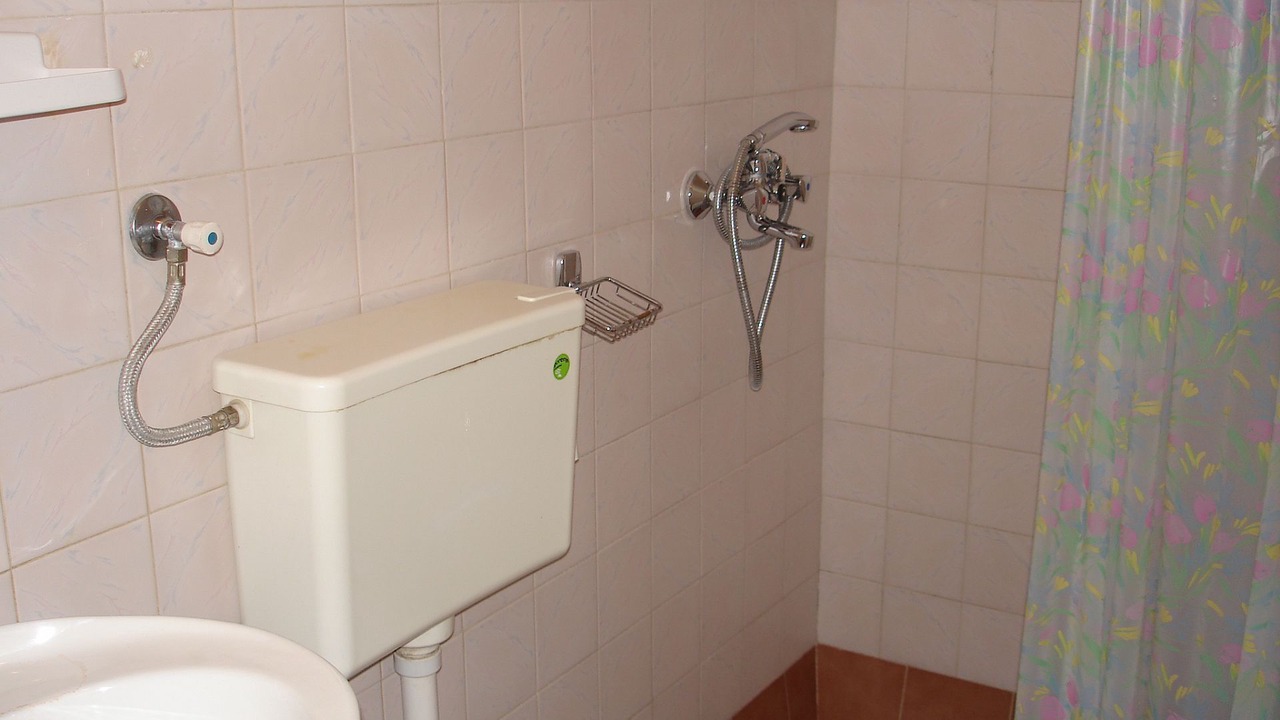 Photo of Others in Medvinjak