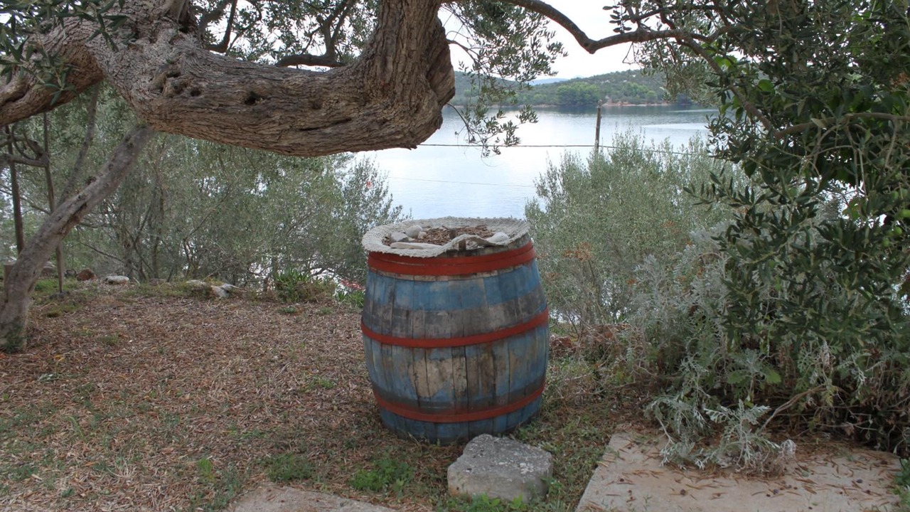 Photo of Outdoor in Luka