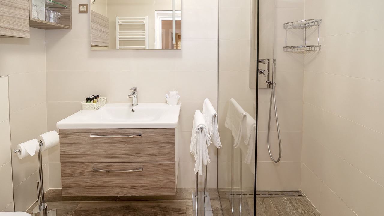 Photo of Bathroom in Zidarici