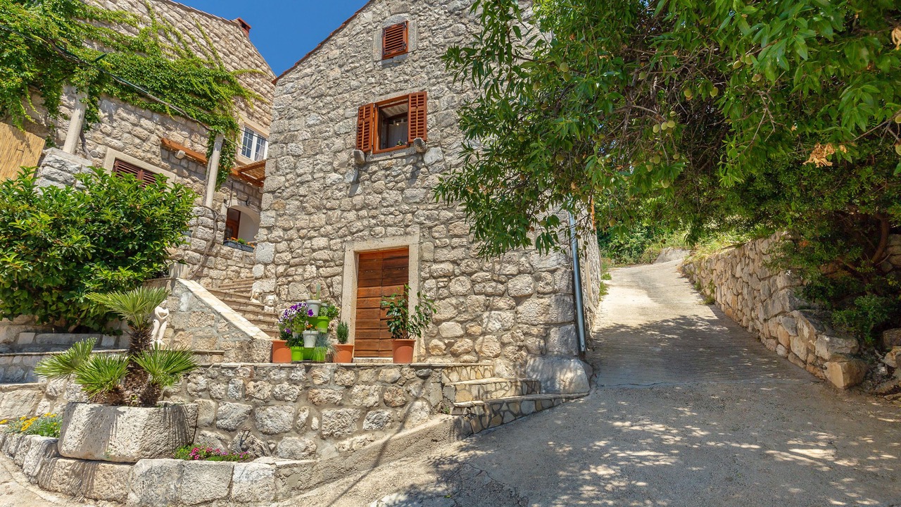 Photo of Outdoor in Trsteno