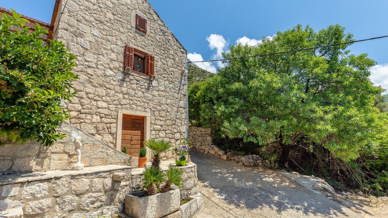 Photo of Outdoor in Trsteno