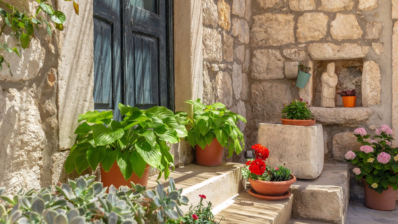 Photo of Outdoor in Trsteno