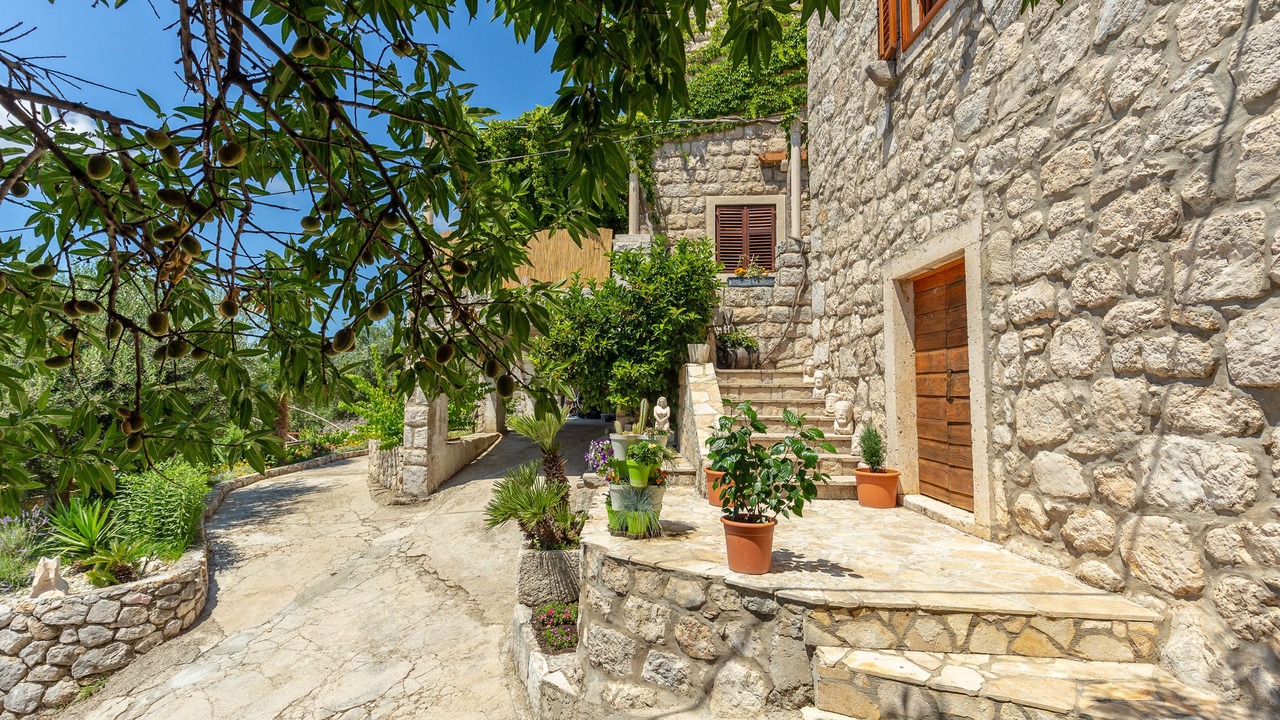 Photo of Outdoor in Trsteno