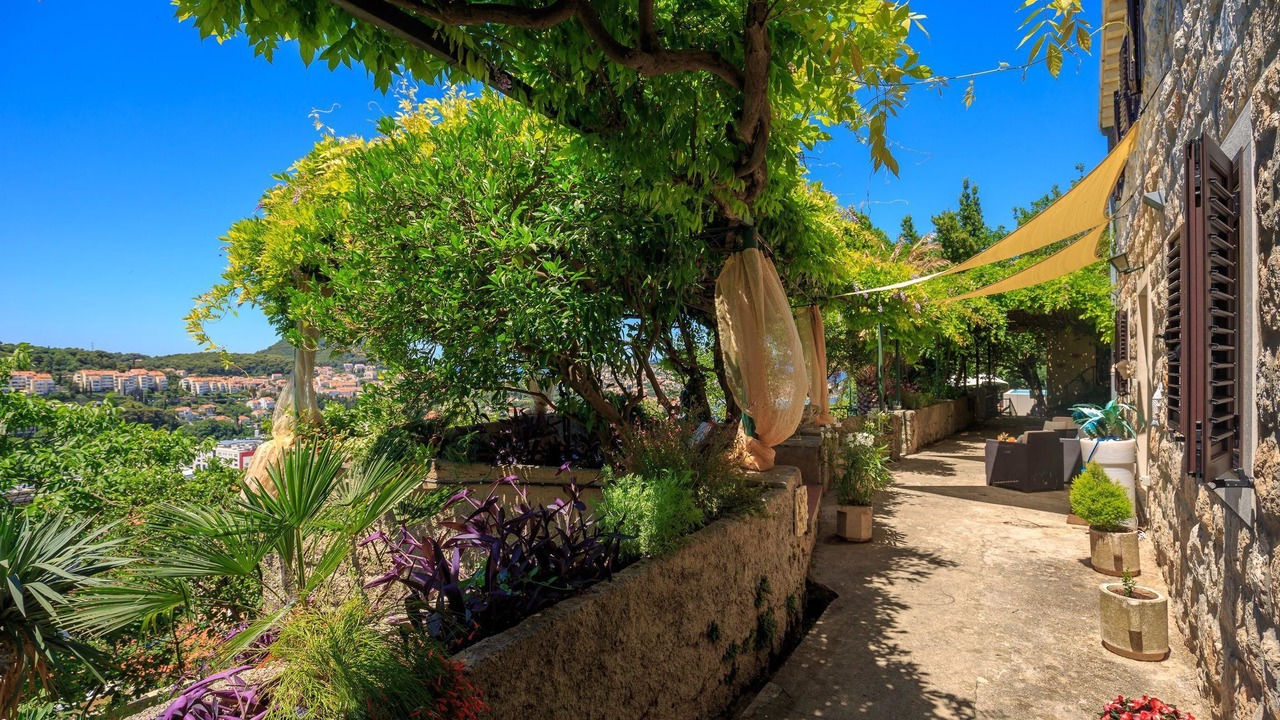 Photo of Outdoor in Gornji Kono