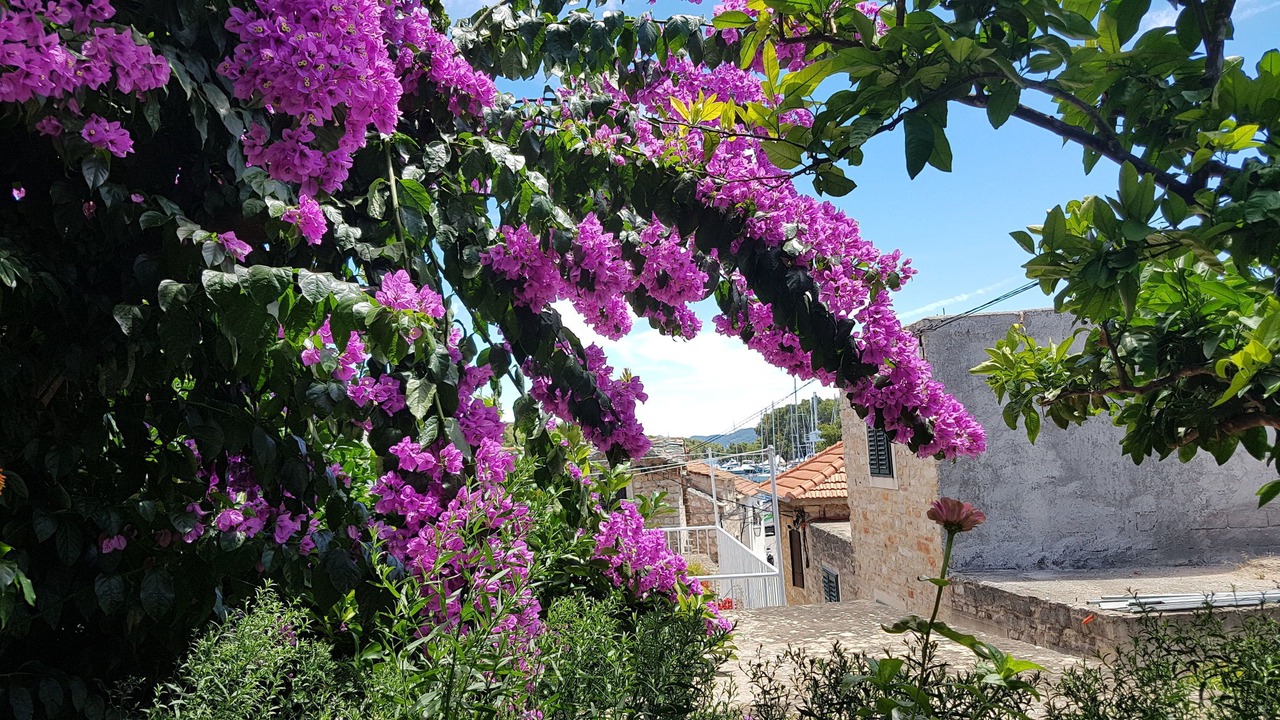 Photo of Outdoor in Vrboska