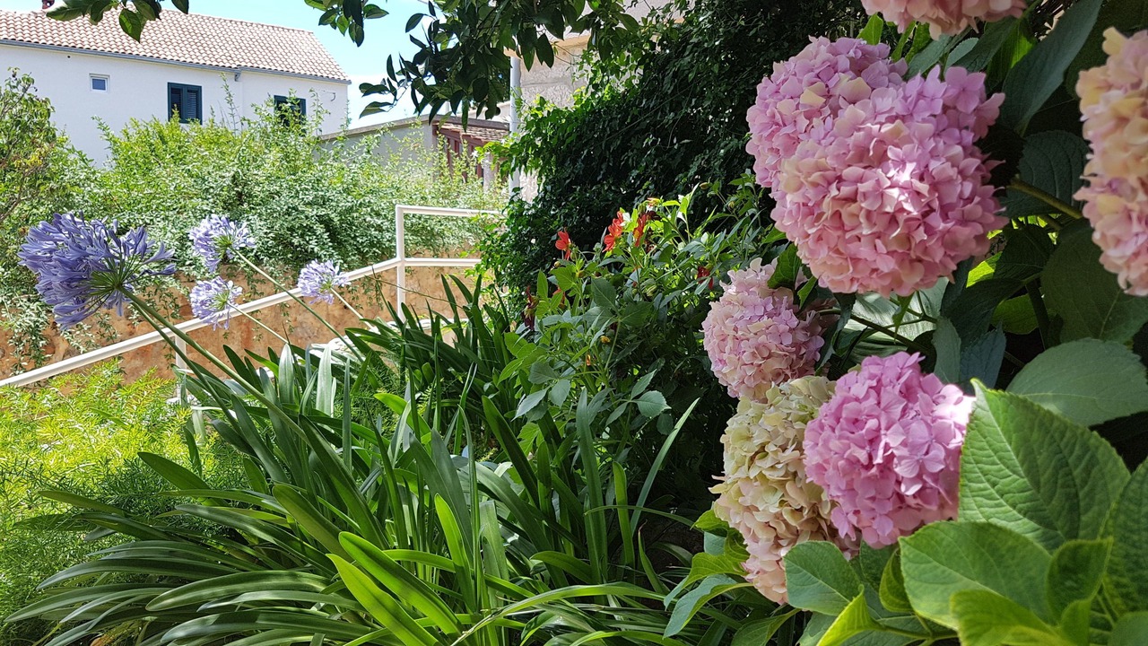 Photo of Outdoor in Vrboska