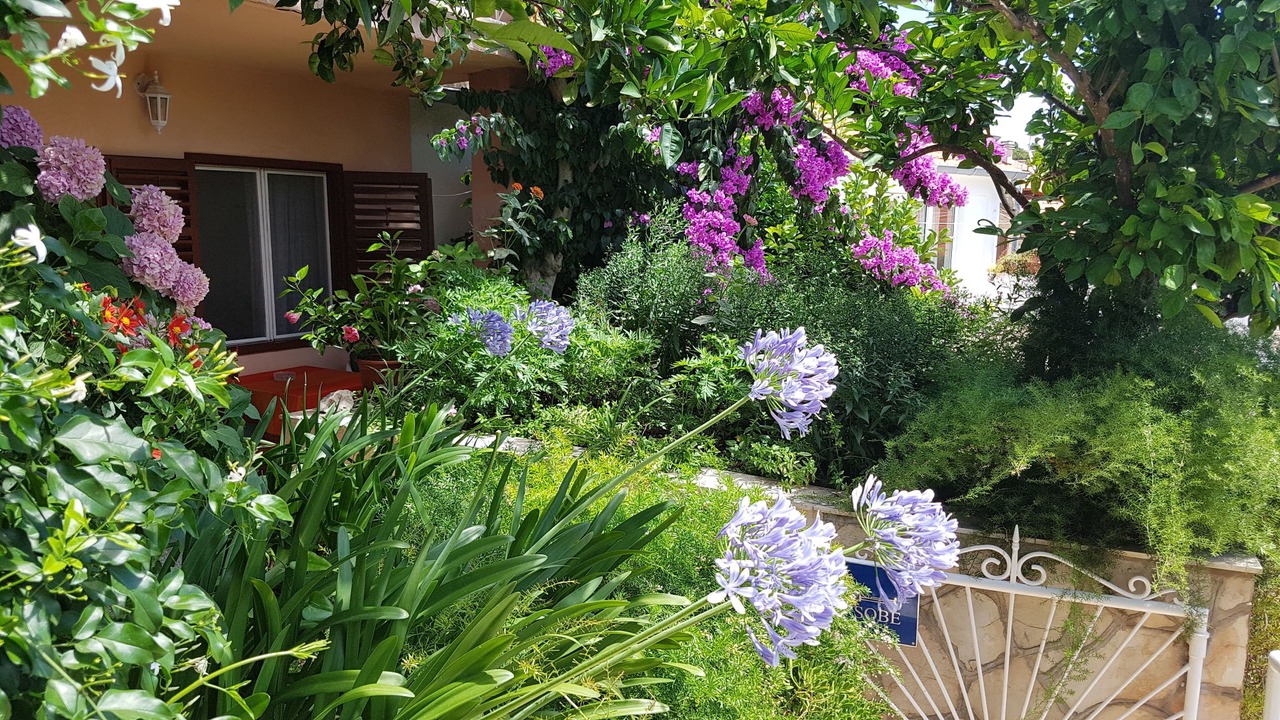 Photo of Outdoor in Vrboska