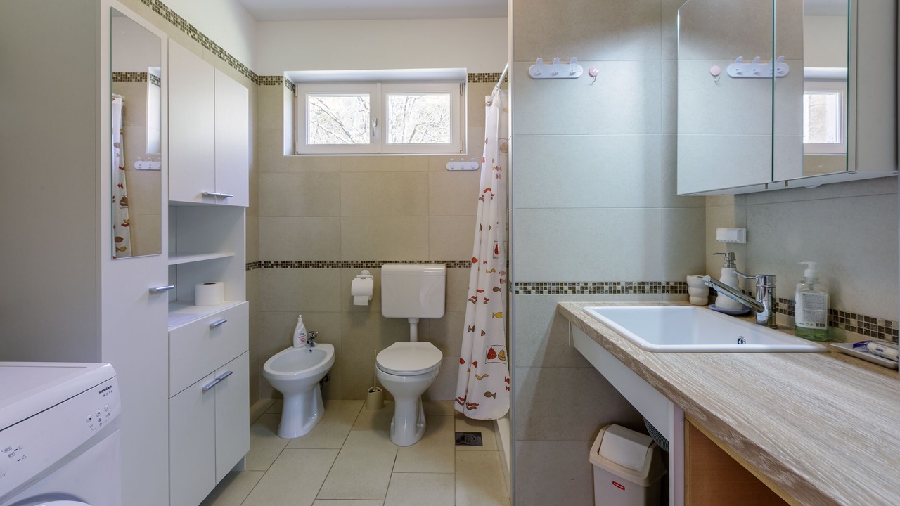 Photo of Bathroom in Tribalj