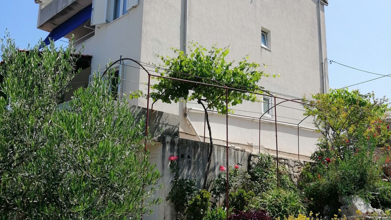 Photo of Outdoor in Pokrivenik
