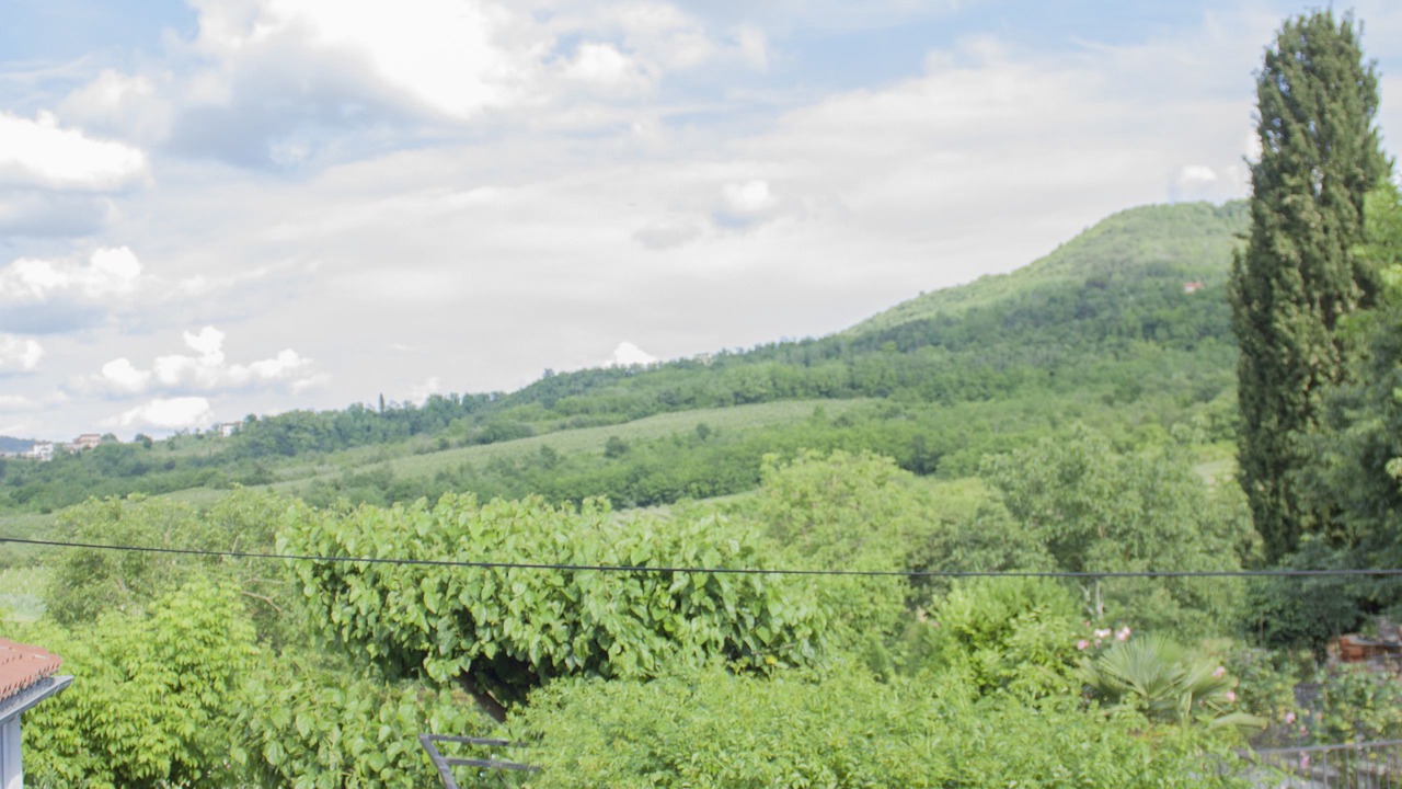 Photo of Outdoor in Brkac