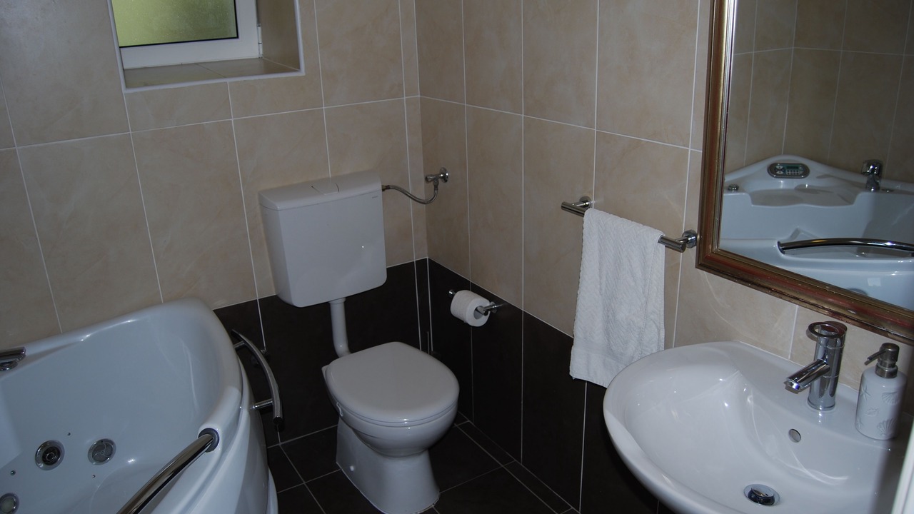 Photo of Bathroom in Orasac