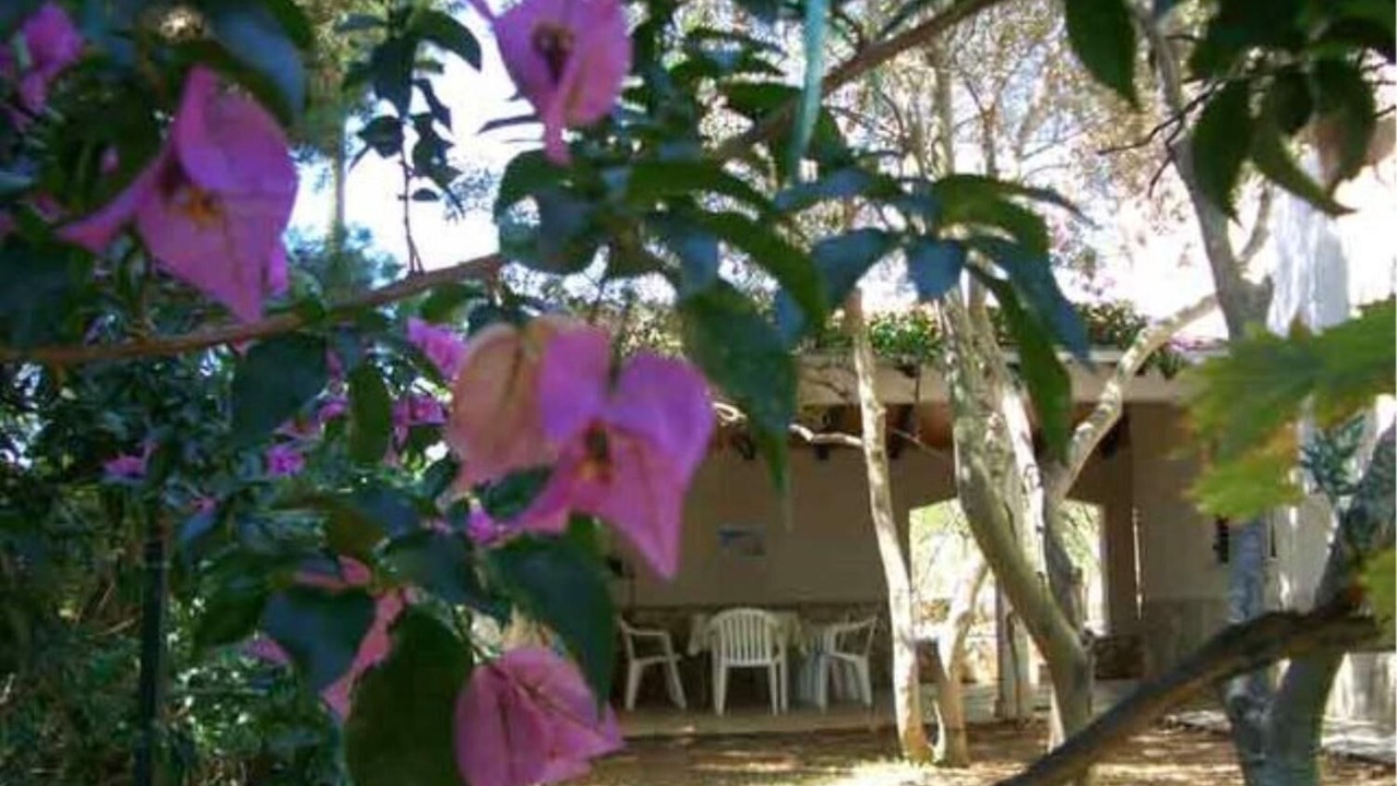 Photo of Outdoor in Rukavac