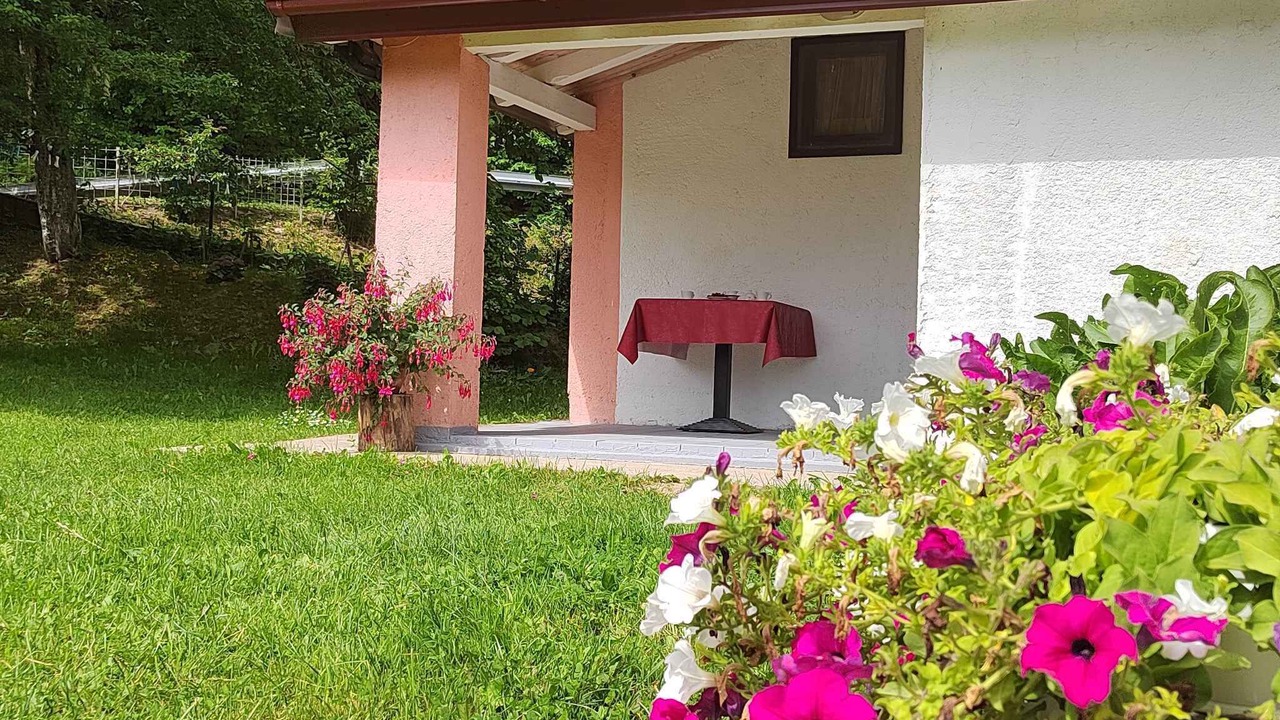 Photo of Outdoor in Trnovac