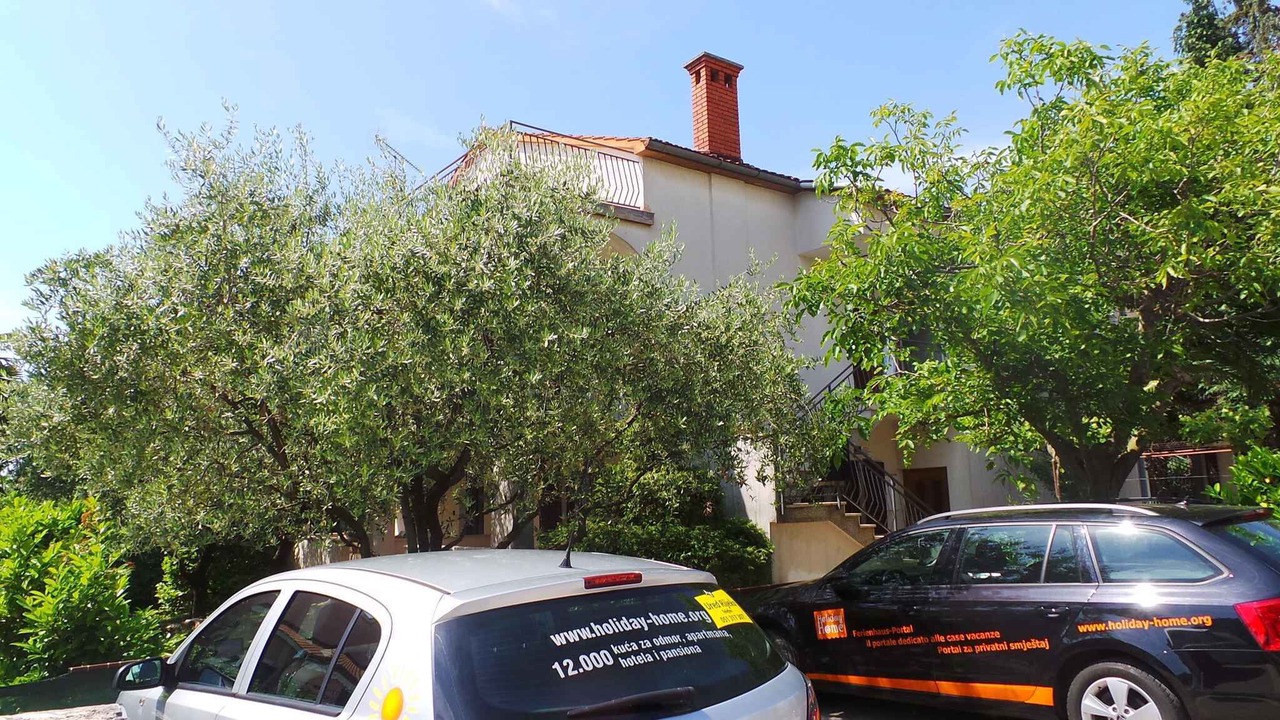 Photo of Outdoor in Spadici