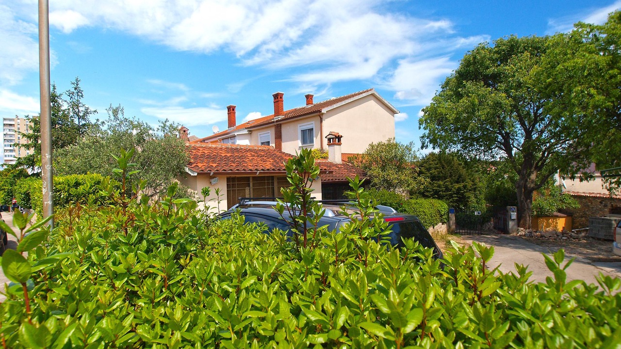 Photo of Outdoor in Vintijan