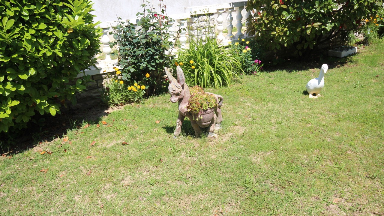 Photo of Outdoor in Ljubac