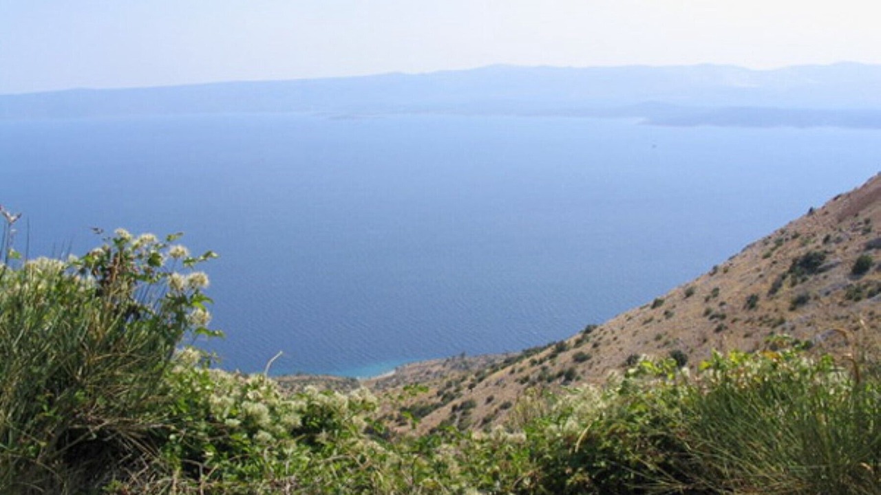 Photo of Others in Cove Basina (Jelsa)